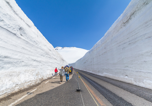 高雄出發浪漫花雪立山黑部雙溫泉5日